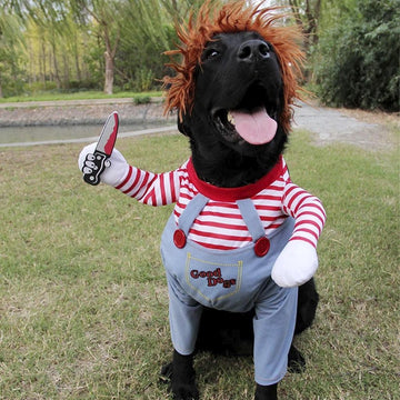 Disfraz de perro Chuck para Halloween