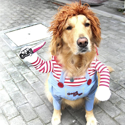 Disfraz de perro Chuck para Halloween